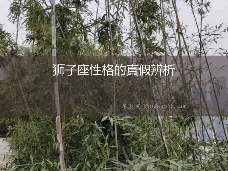 獅子座性格的真假辨析