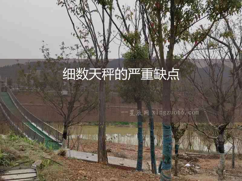 細數天秤的嚴重缺點