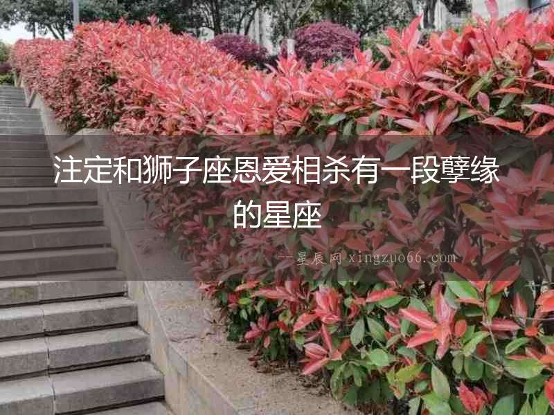注定和獅子座恩愛相殺有一段孽緣的星座