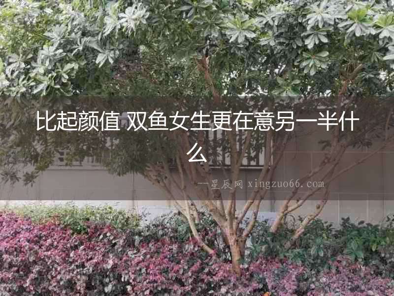 比起顏值 雙魚(yú)女生更在意另一半什么