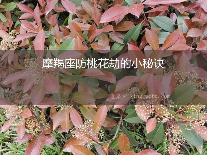 摩羯座防桃花劫的小秘訣