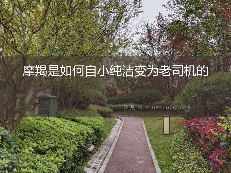 摩羯是如何自小純潔變?yōu)槔纤緳C(jī)的