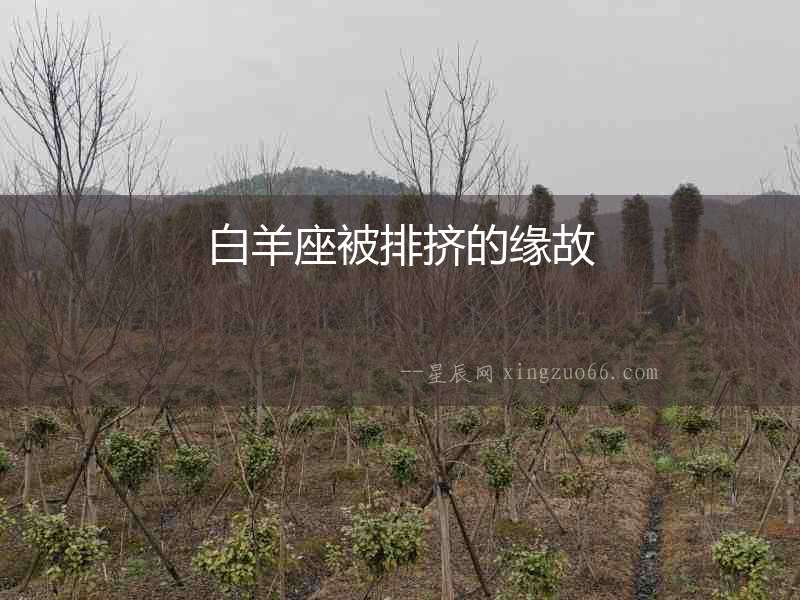 白羊座被排擠的緣故