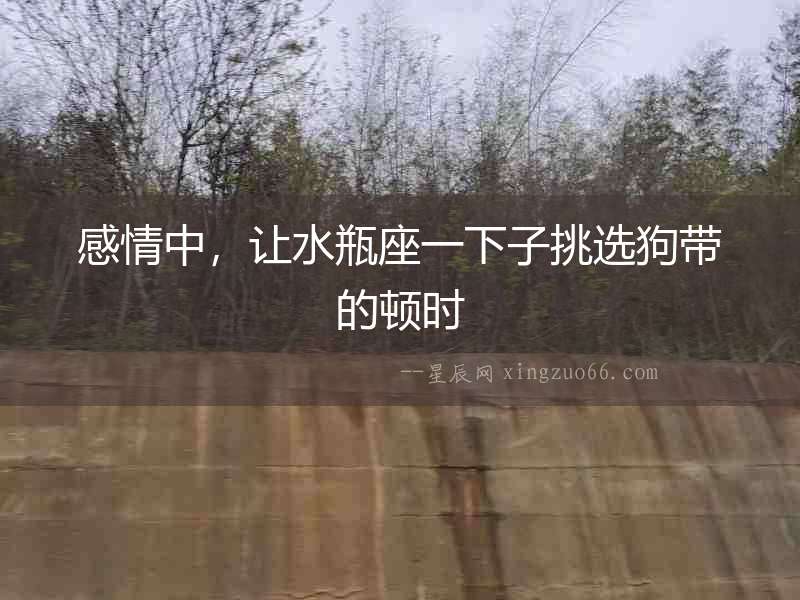 感情中，讓水瓶座一下子挑選狗帶的頓時(shí)