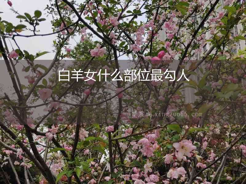 白羊女什么部位最勾人