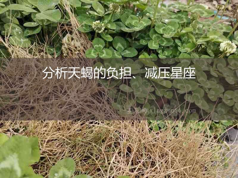 分析天蝎的負擔、減壓星座