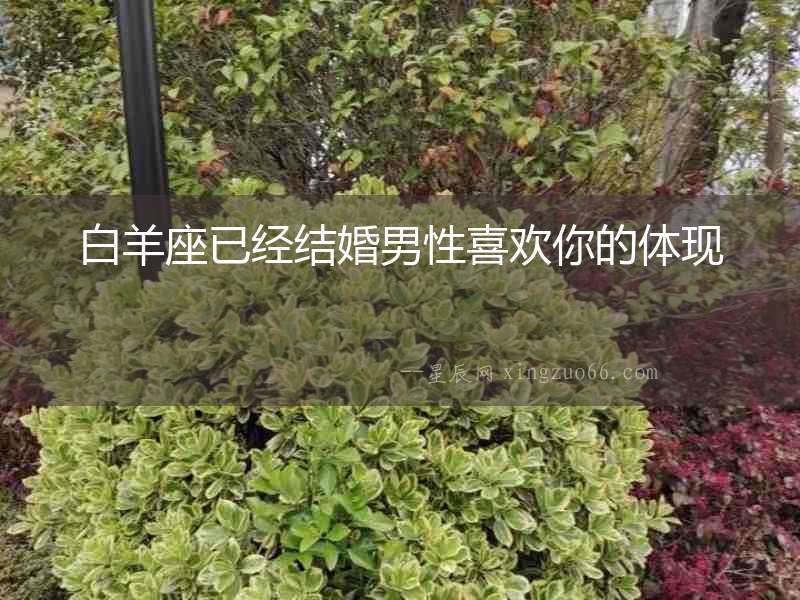 白羊座已經(jīng)結(jié)婚男性喜歡你的體現(xiàn)