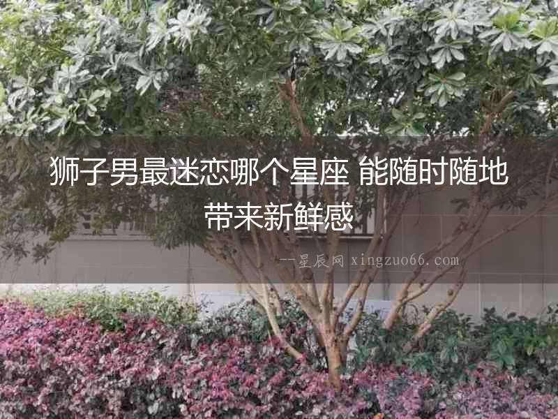 獅子男最迷戀哪個星座 能隨時隨地帶來新鮮感