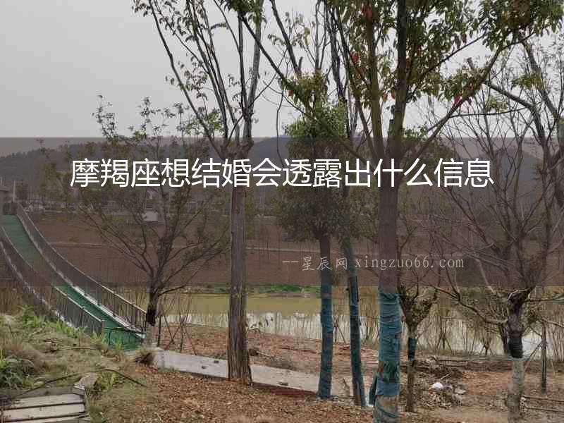 摩羯座想結(jié)婚會透露出什么信息