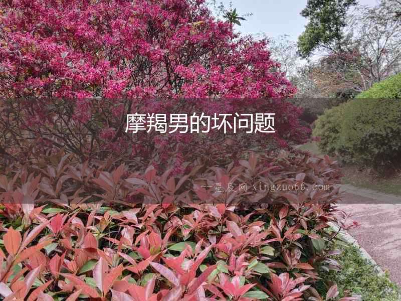 摩羯男的壞問(wèn)題