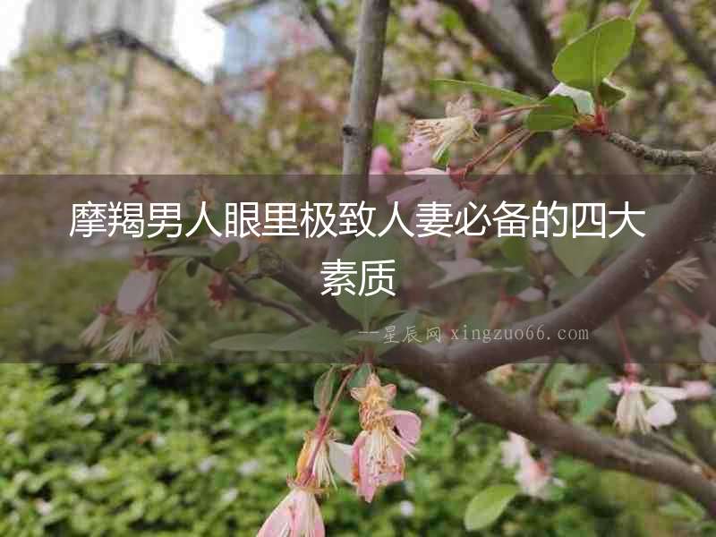摩羯男人眼里極致人妻必備的四大素質