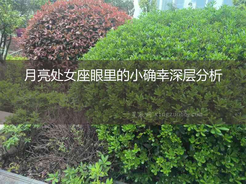 月亮處女座眼里的小確幸深層分析