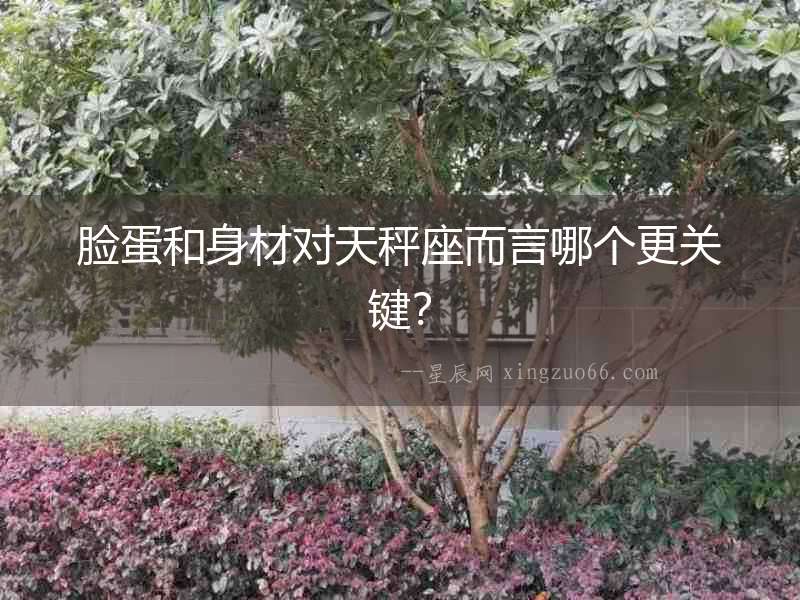 臉蛋和身材對天秤座而言哪個更關鍵？