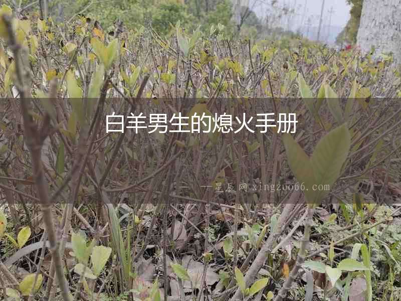 白羊男生的熄火手冊