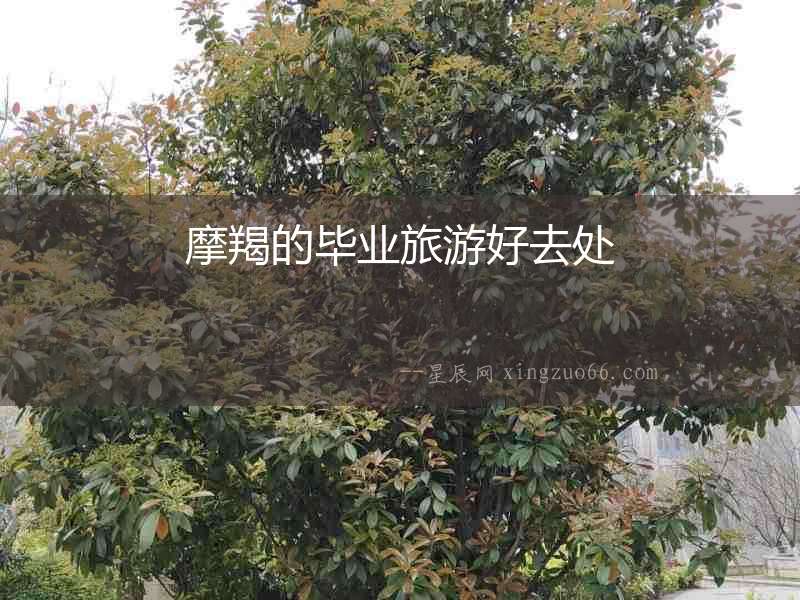摩羯的畢業(yè)旅游好去處