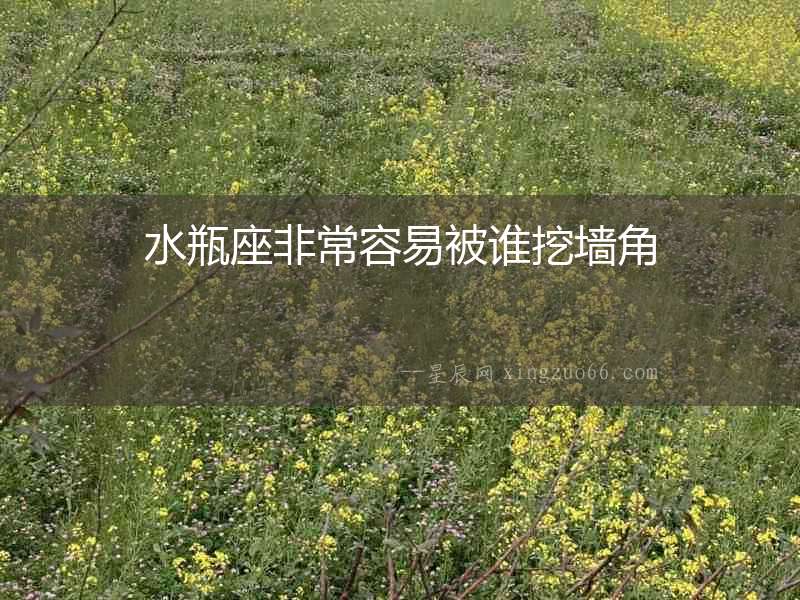 水瓶座非常容易被誰挖墻角