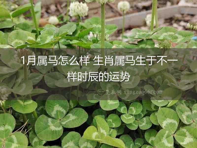 1月屬馬怎么樣 生肖屬馬生于不一樣時(shí)辰的運(yùn)勢(shì)