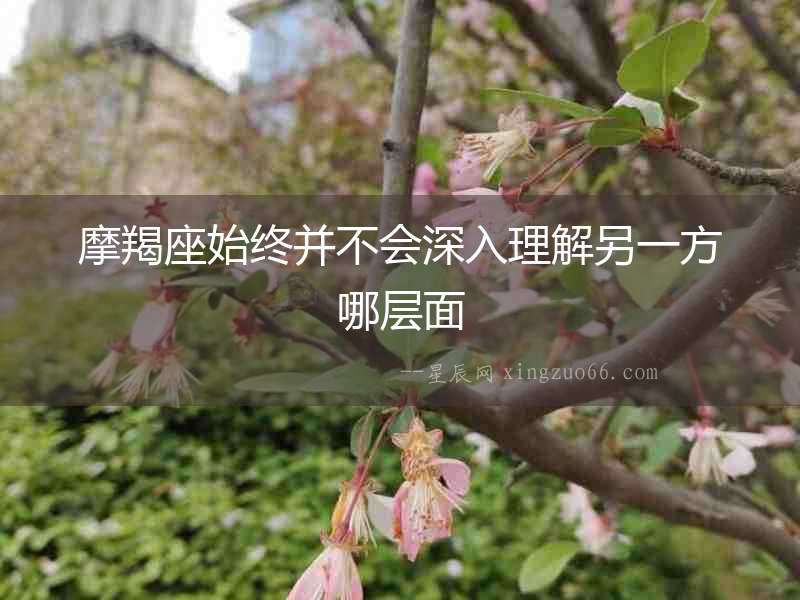 摩羯座始終并不會深入理解另一方哪層面