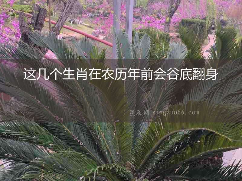 這幾個生肖在農(nóng)歷年前會谷底翻身