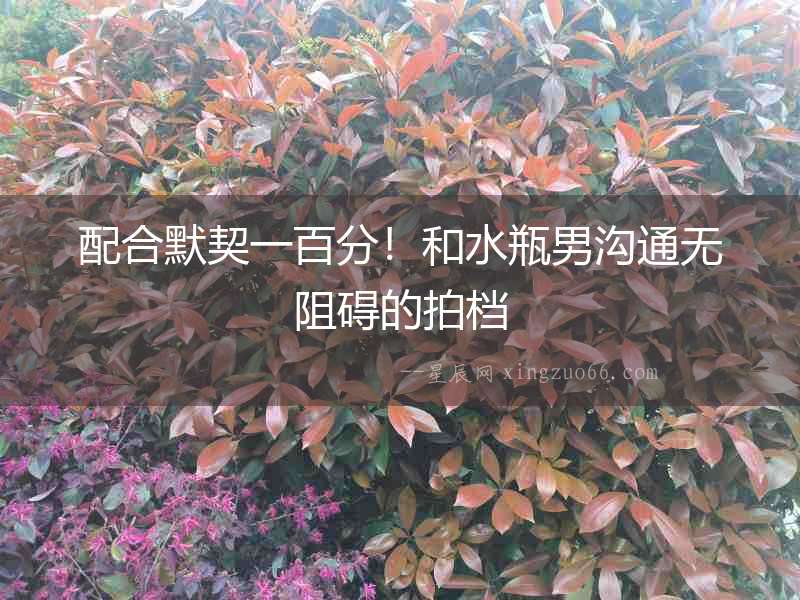 配合默契一百分！和水瓶男溝通無阻礙的拍檔