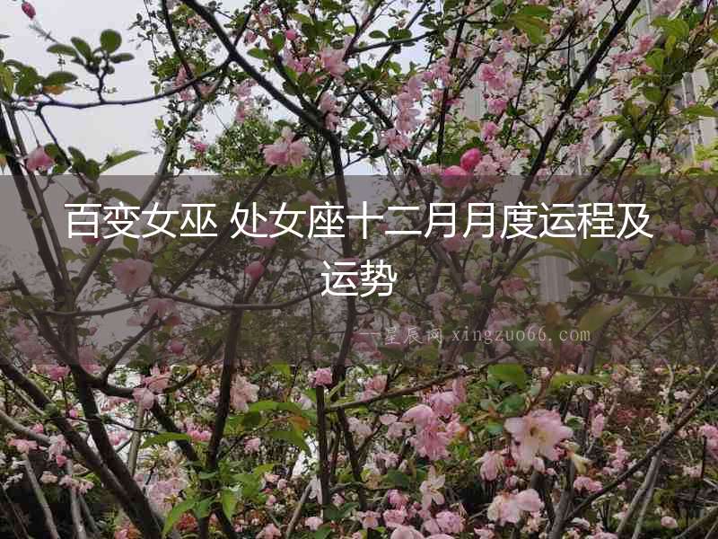 百變女巫 處女座十二月月度運程及運勢