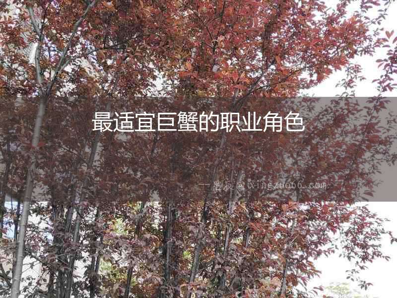 最適宜巨蟹的職業角色