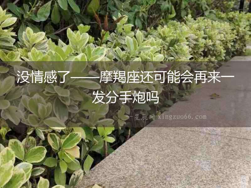 沒情感了——摩羯座還可能會再來一發分手炮嗎