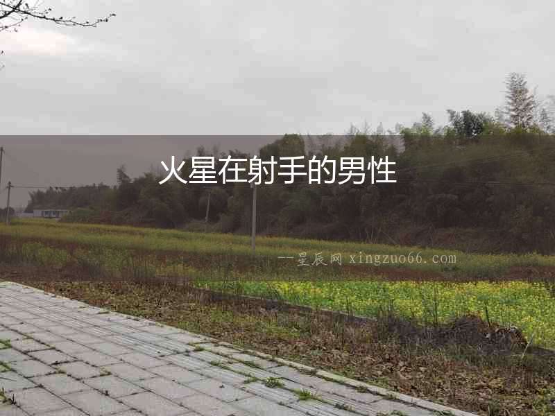 火星在射手的男性