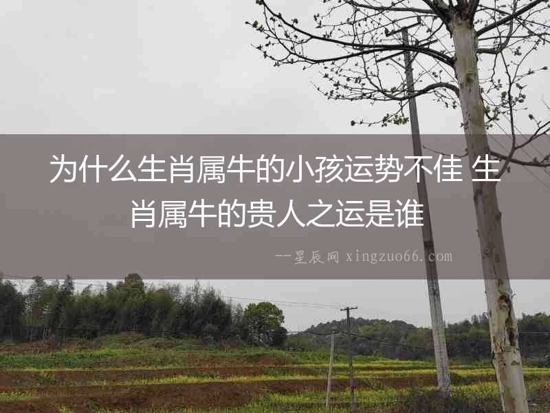 為什么生肖屬牛的小孩運(yùn)勢不佳 生肖屬牛的貴人之運(yùn)是誰