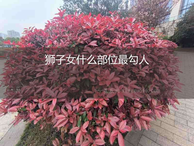 獅子女什么部位最勾人