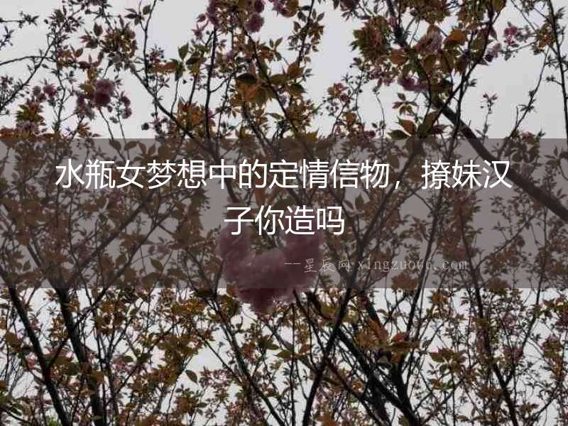 水瓶女夢(mèng)想中的定情信物，撩妹漢子你造嗎