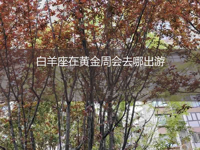 白羊座在黃金周會(huì)去哪出游
