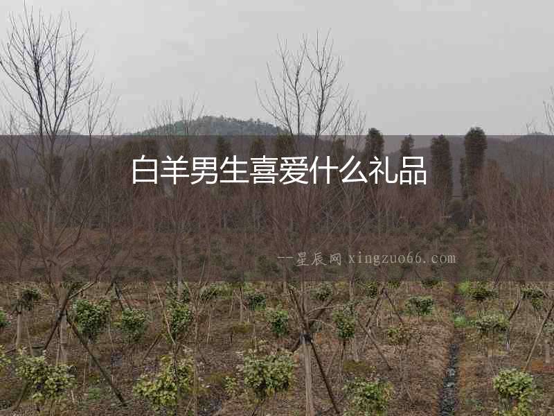 白羊男生喜愛什么禮品