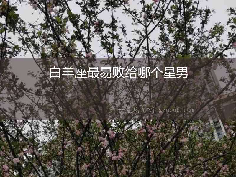 白羊座最易敗給哪個星男