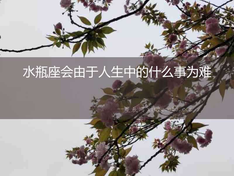 水瓶座會由于人生中的什么事為難