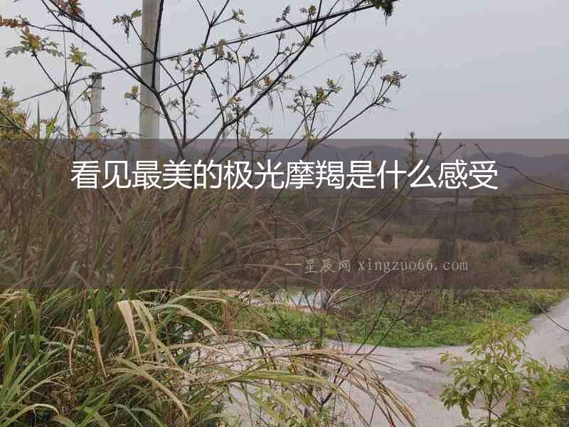 看見最美的極光摩羯是什么感受