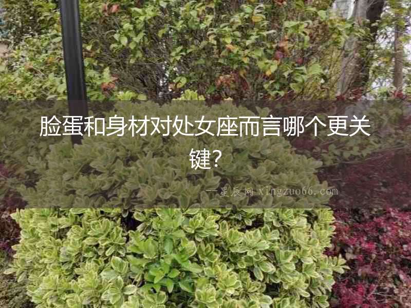 臉蛋和身材對處女座而言哪個更關鍵？