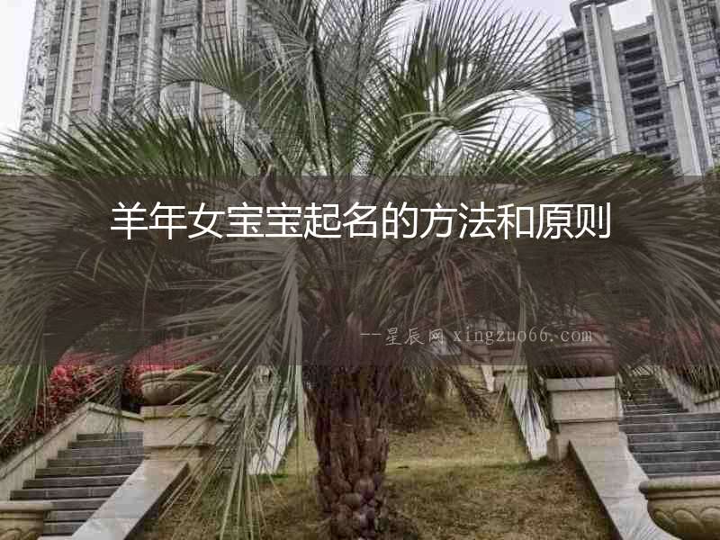 羊年女寶寶起名的方法和原則