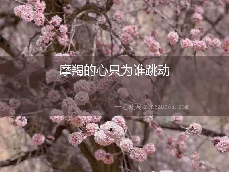摩羯的心只為誰跳動