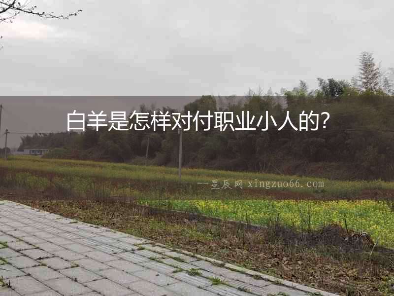 白羊是怎樣對付職業(yè)小人的？