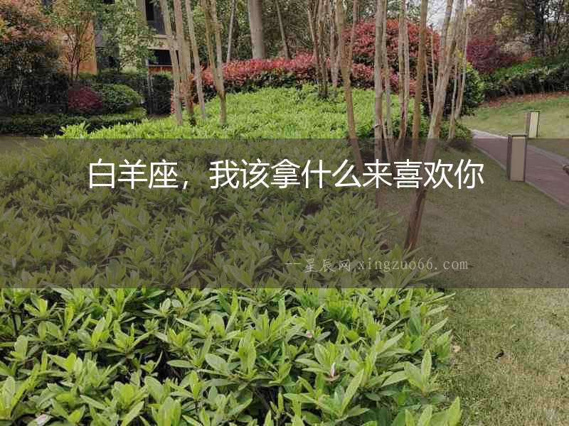 白羊座，我該拿什么來喜歡你