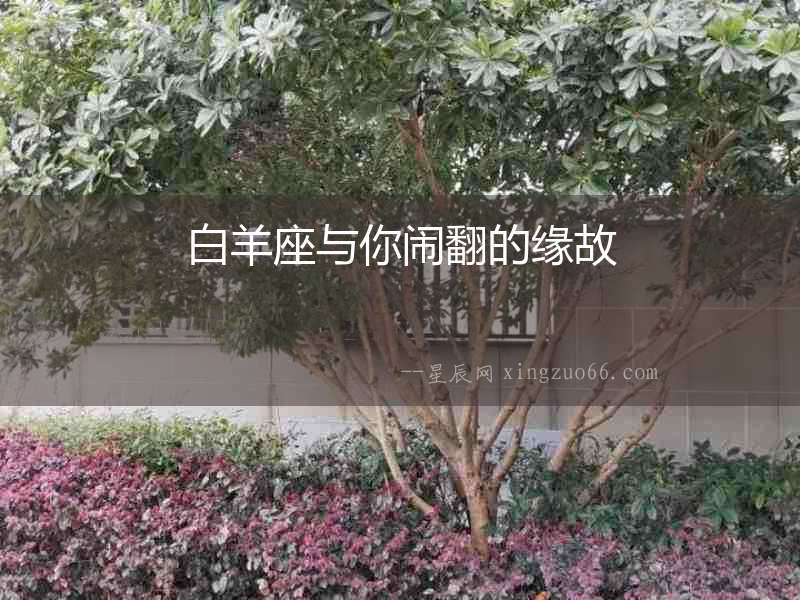 白羊座與你鬧翻的緣故