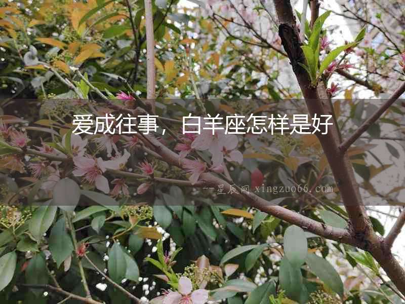 愛成往事，白羊座怎樣是好