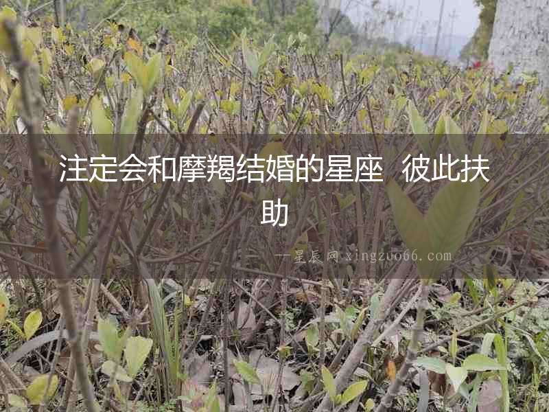 注定會和摩羯結婚的星座  彼此扶助