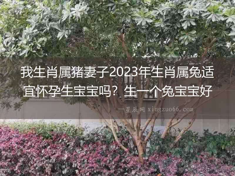 我生肖屬豬妻子2023年生肖屬兔適宜懷孕生寶寶嗎？生一個兔寶寶好不好？