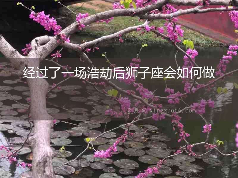 經(jīng)過了一場(chǎng)浩劫后獅子座會(huì)如何做