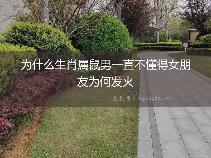為什么生肖屬鼠男一直不懂得女朋友為何發火