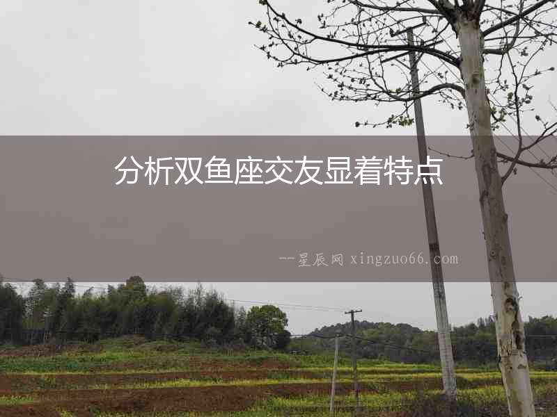 分析雙魚座交友顯著特點