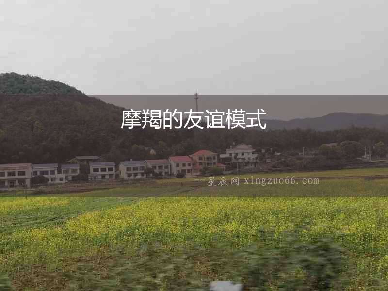 摩羯的友誼模式