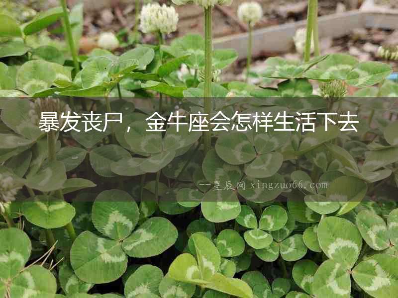 暴發(fā)喪尸，金牛座會(huì)怎樣生活下去